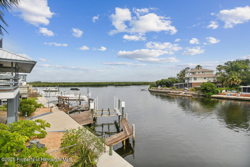3285 Minnow Creek Drive, HERNANDO BEACH, Florida image 6