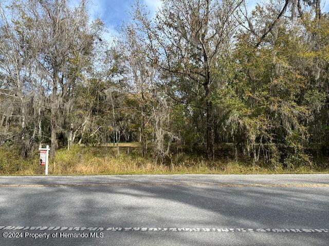 Yontz, Brooksville, Florida image 5