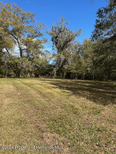 Yontz, Brooksville, Florida image 3
