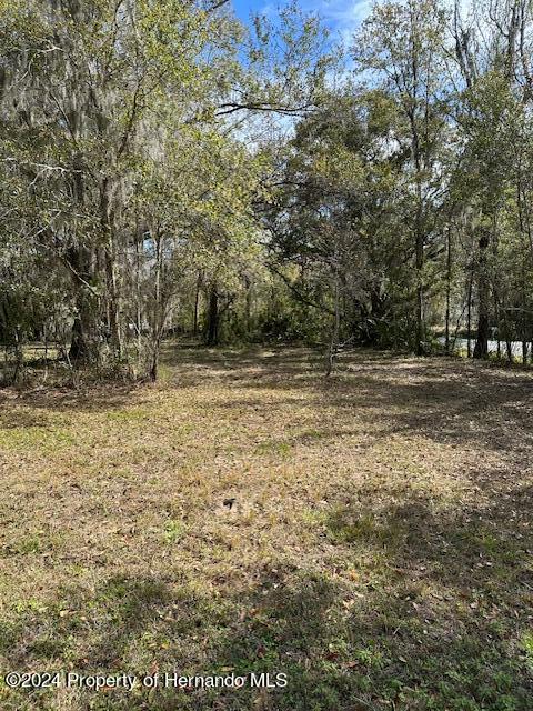 Yontz, Brooksville, Florida image 4