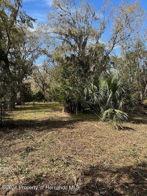 Yontz, Brooksville, Florida image 2