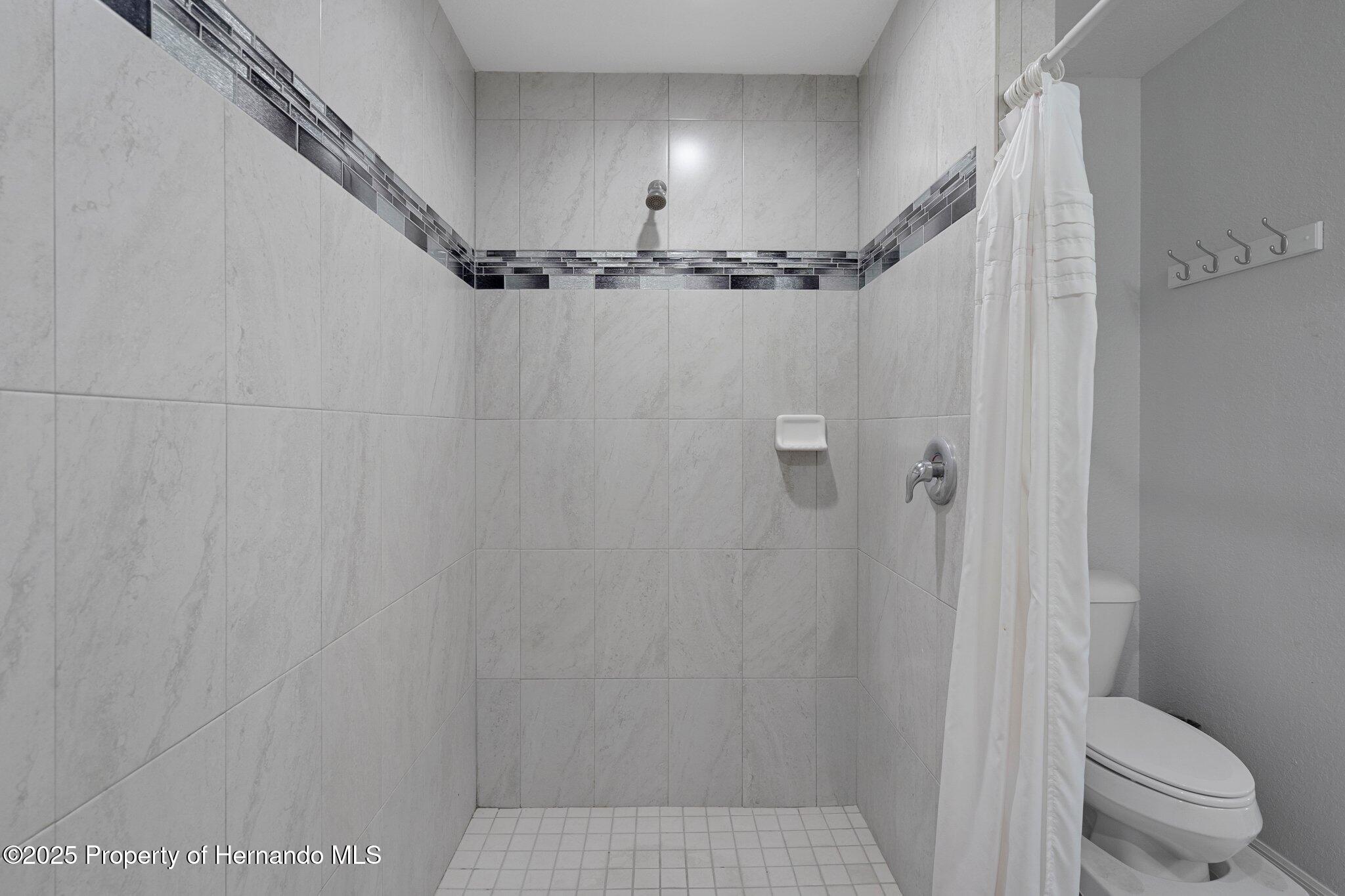 3355 La Vista Street, Brooksville, Florida image 39