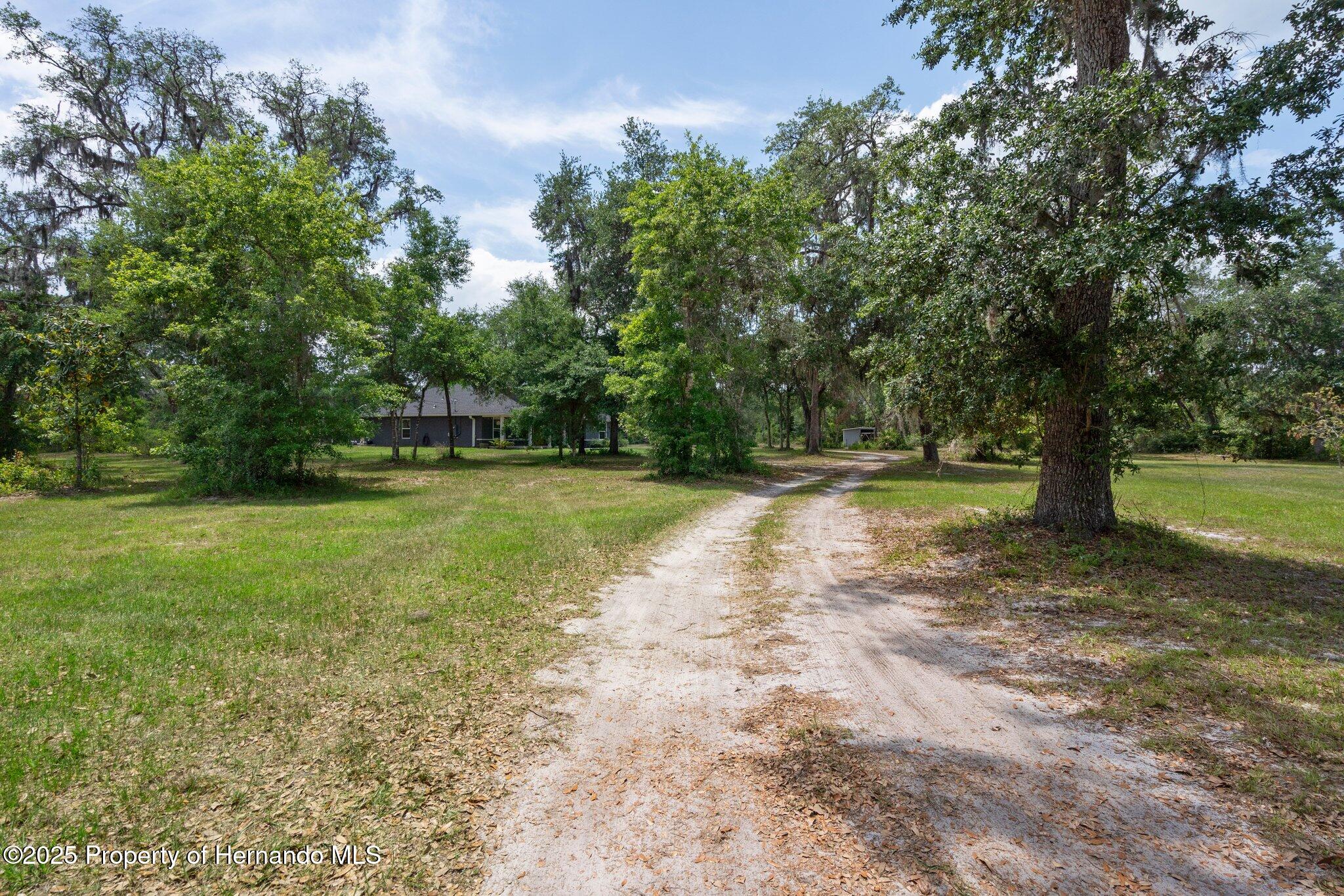 3355 La Vista Street, Brooksville, Florida image 7