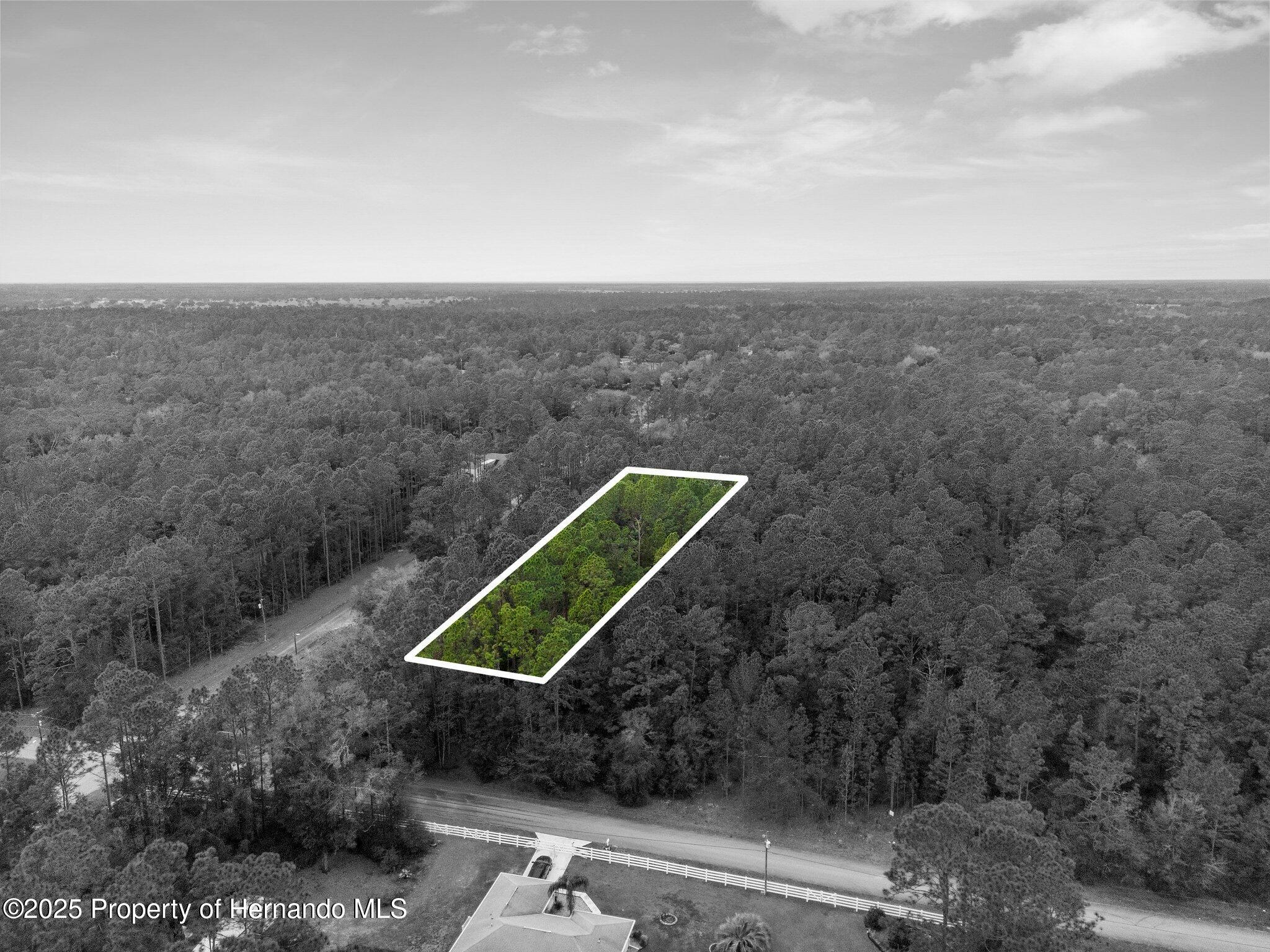 0000 SW 202nd Court, Dunnellon, Florida image 3