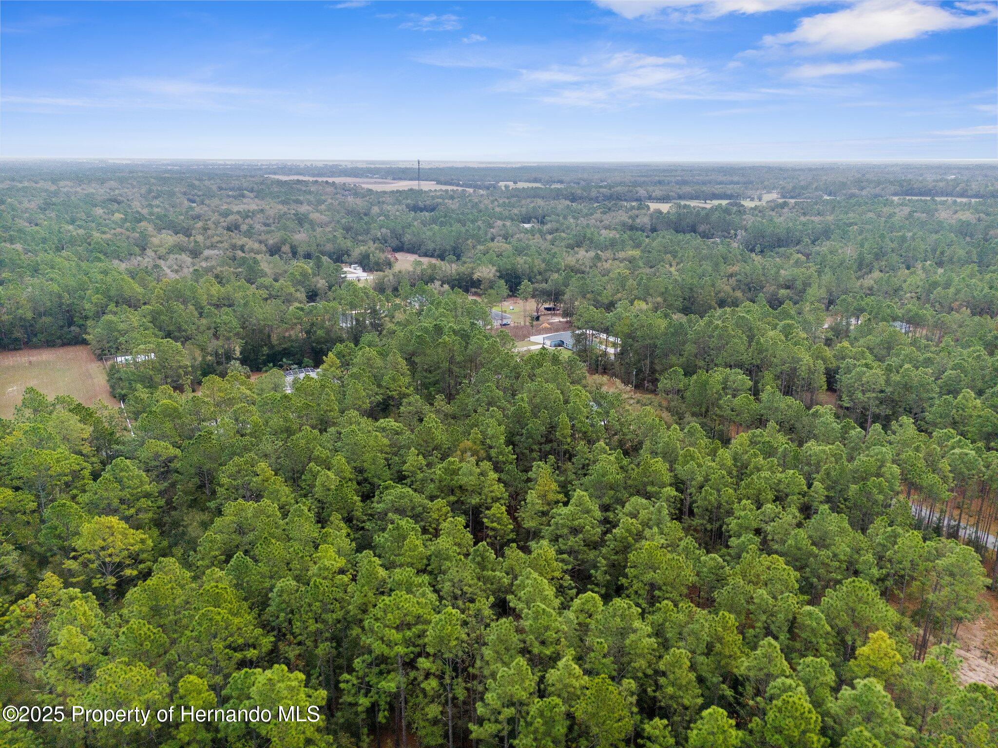 0000 SW 202nd Court, Dunnellon, Florida image 11