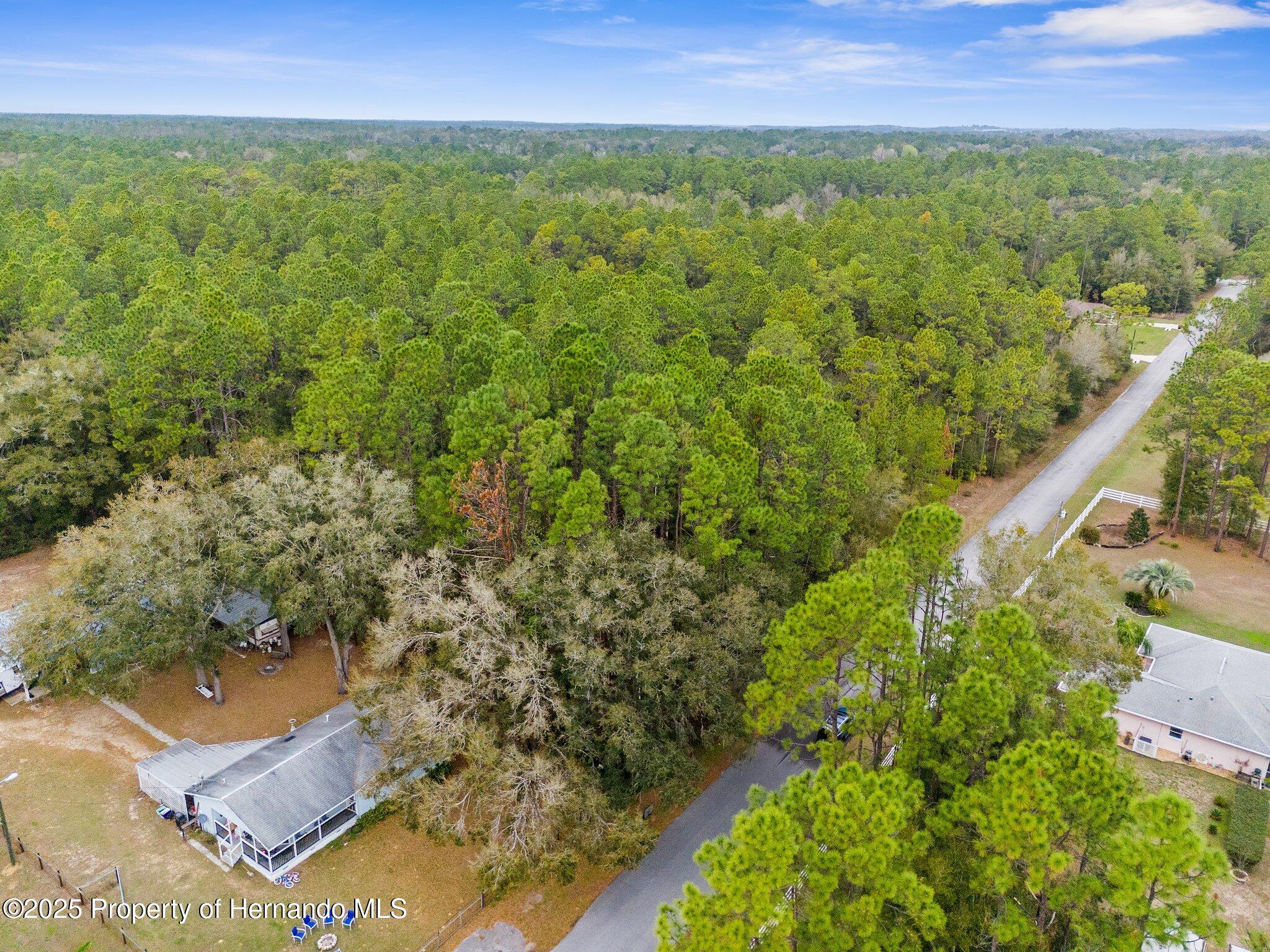 0000 SW 202nd Court, Dunnellon, Florida image 7