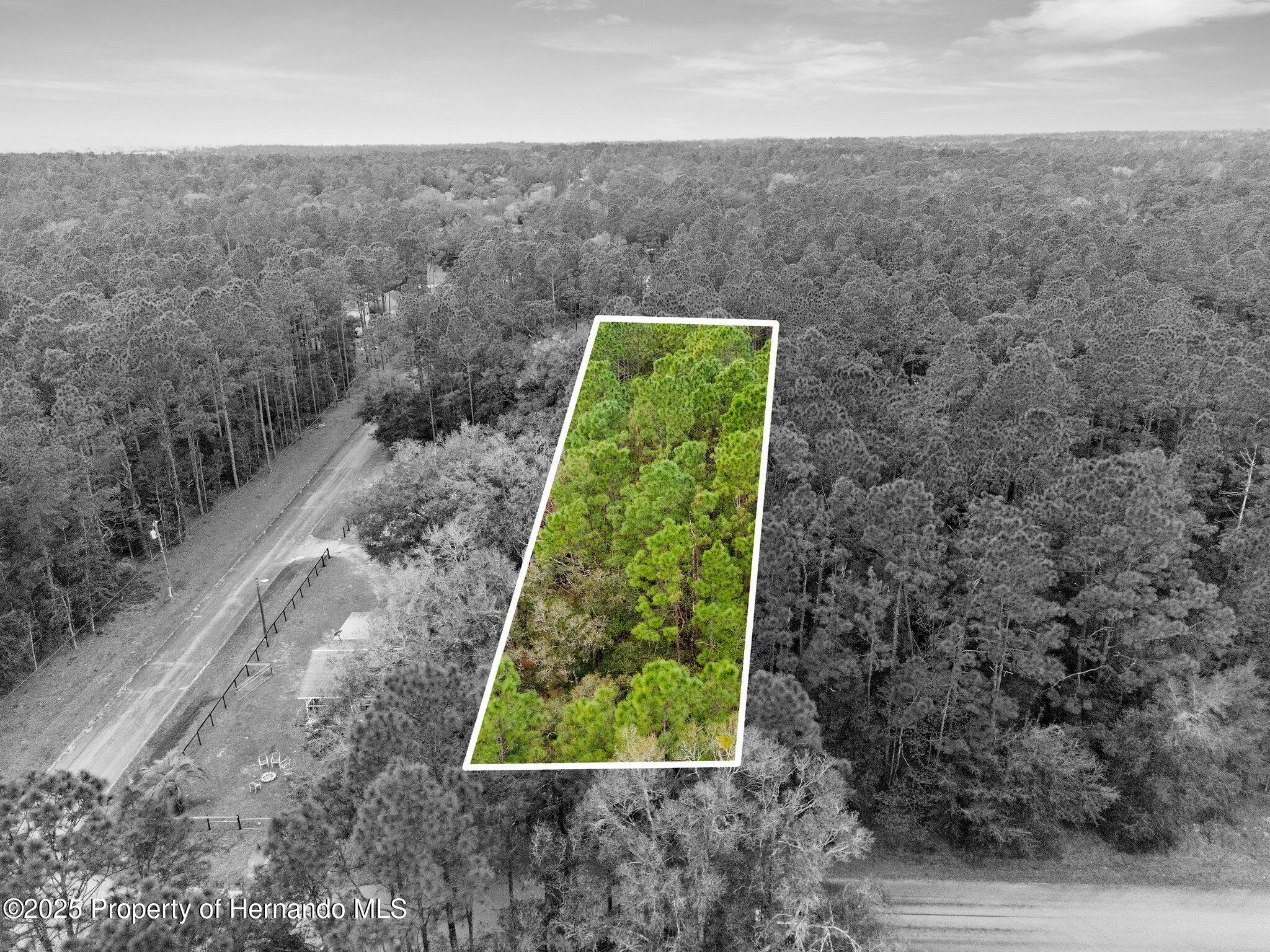 0000 SW 202nd Court, Dunnellon, Florida image 1