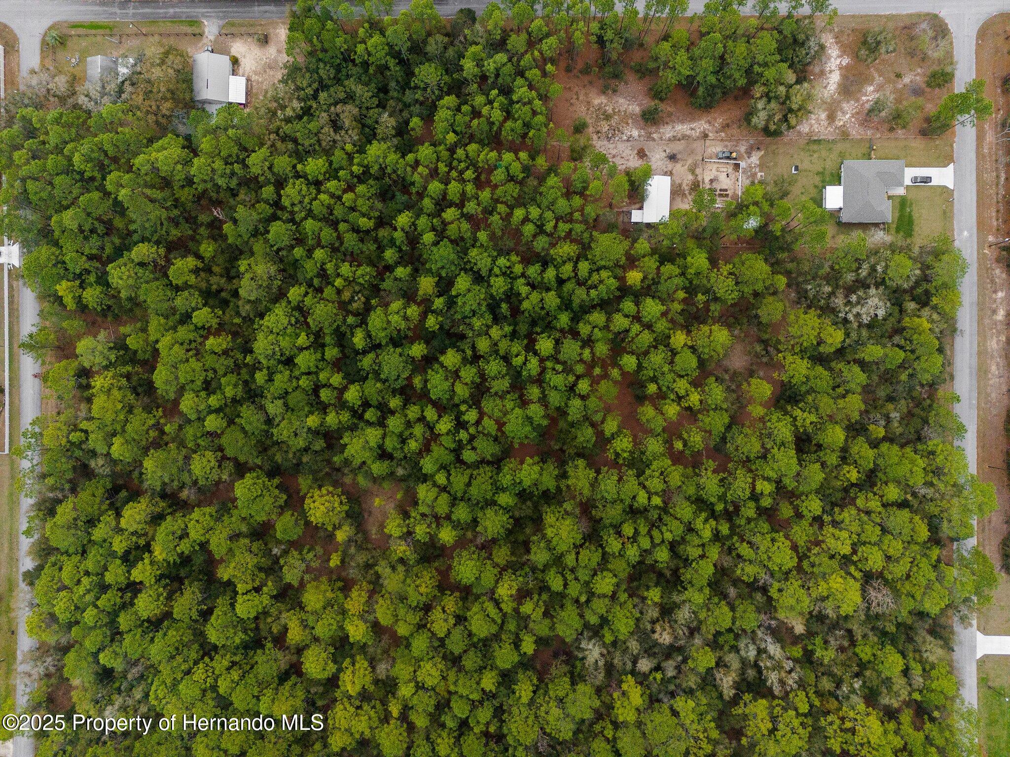 0000 SW 202nd Court, Dunnellon, Florida image 6