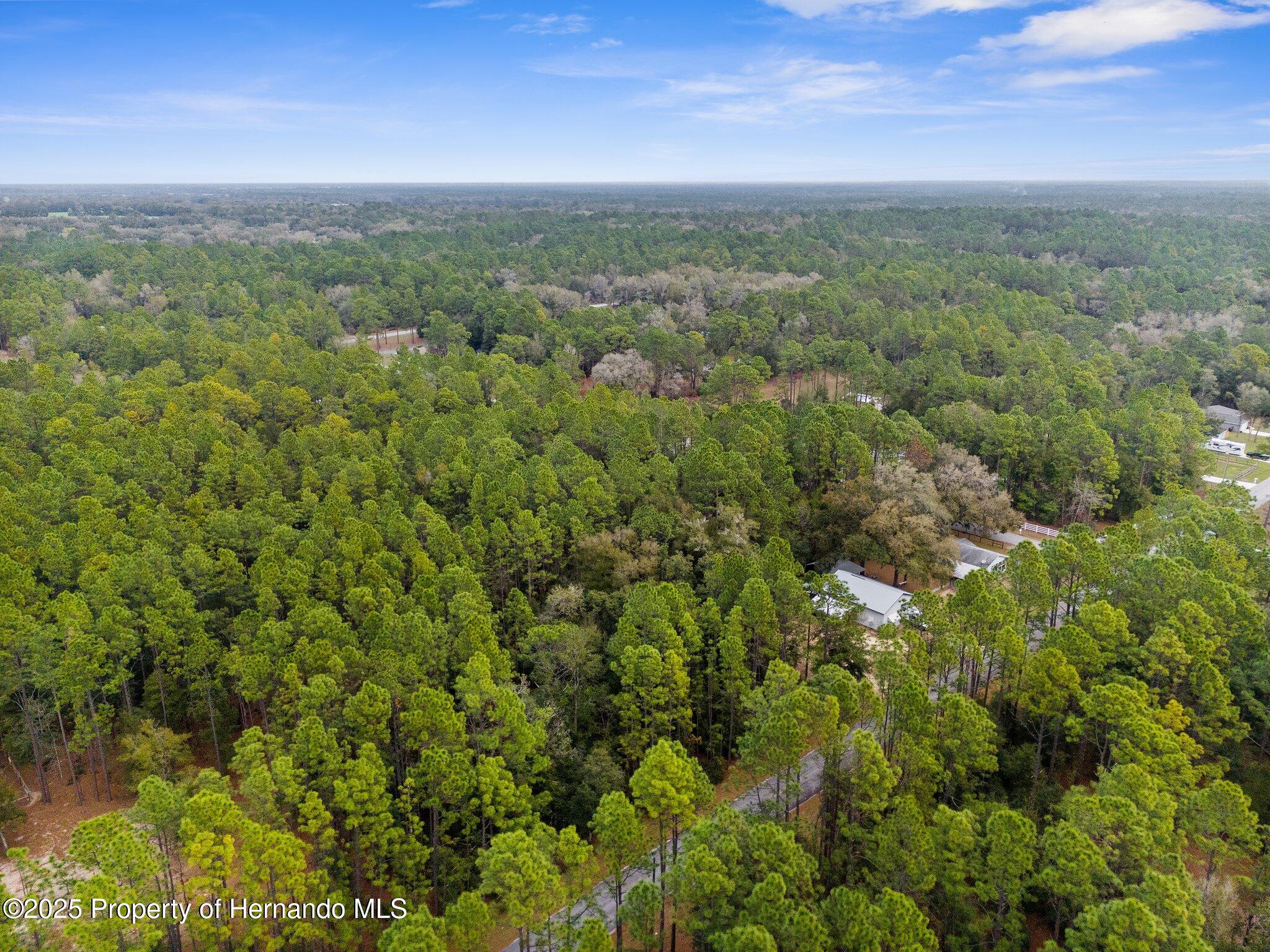 0000 SW 202nd Court, Dunnellon, Florida image 9