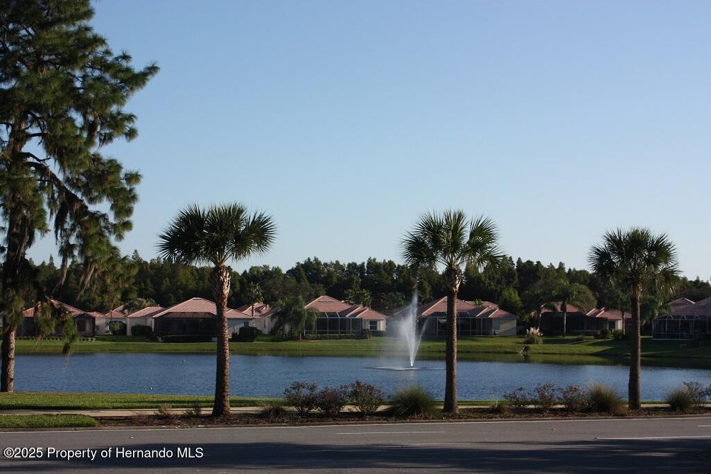 9615 Southern Belle Drive, Weeki Wachee, Florida image 37