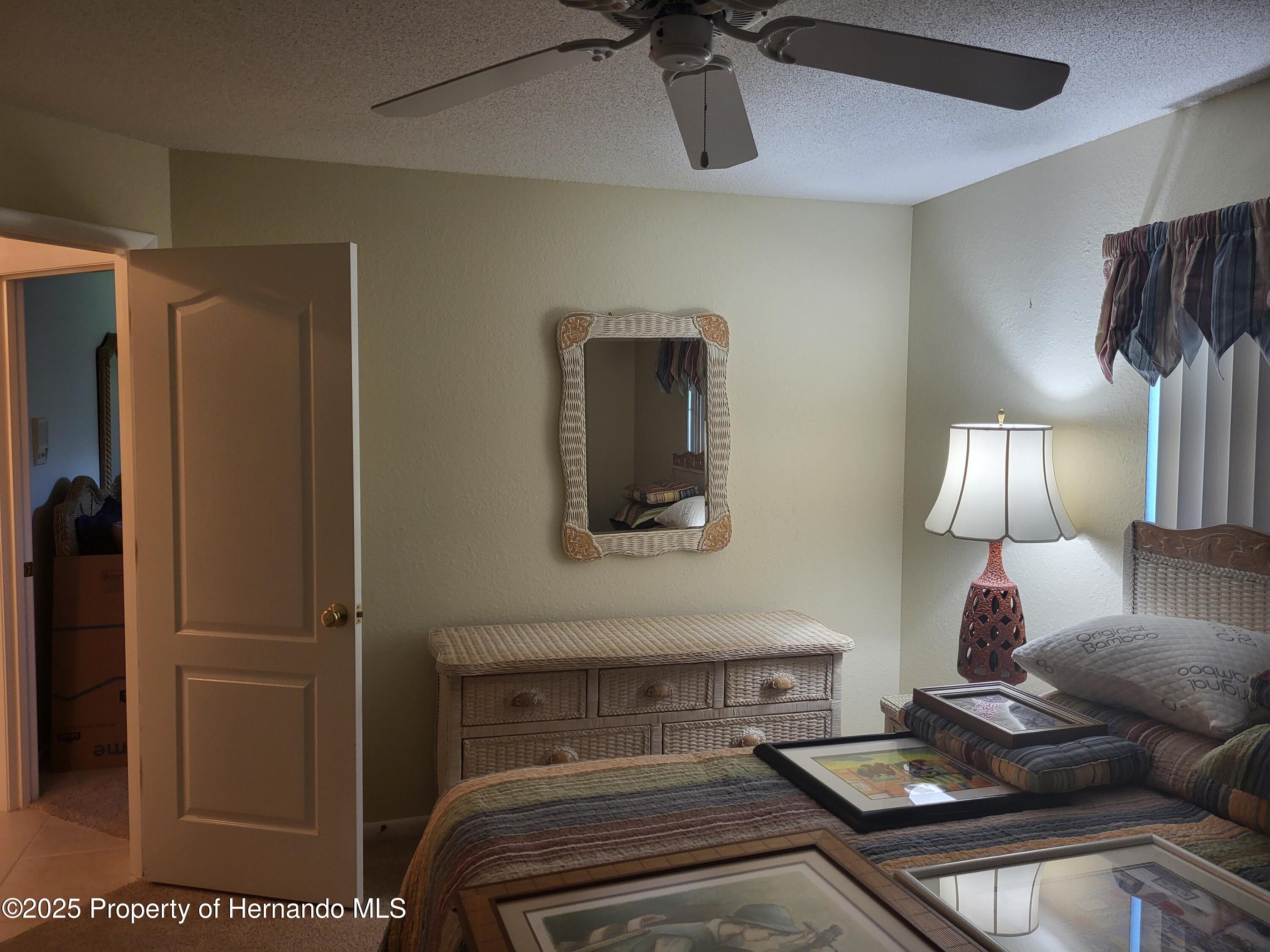 9615 Southern Belle Drive, Weeki Wachee, Florida image 20