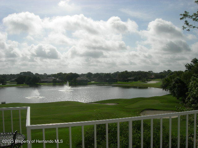 9615 Southern Belle Drive, Weeki Wachee, Florida image 39