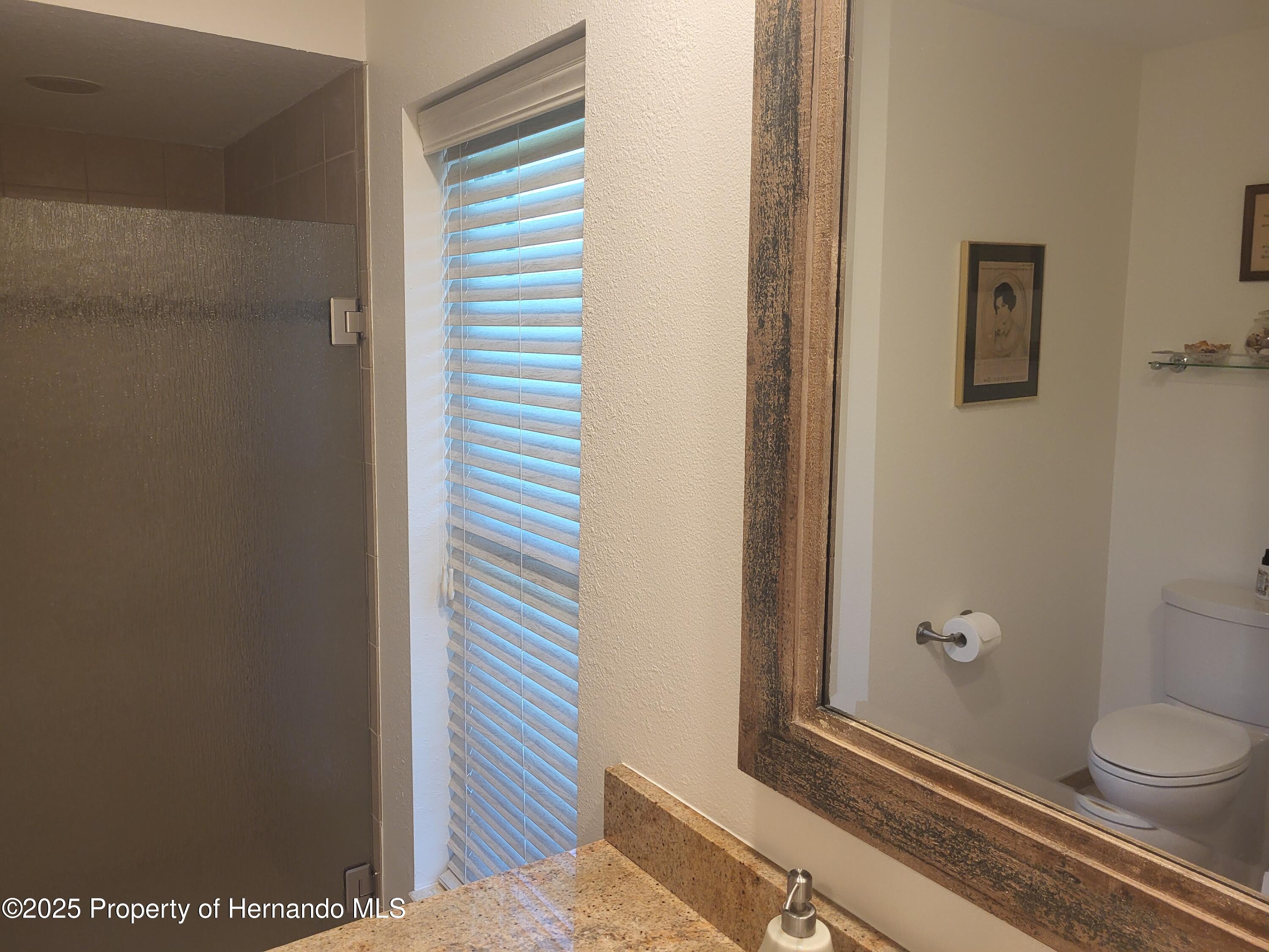 9615 Southern Belle Drive, Weeki Wachee, Florida image 22