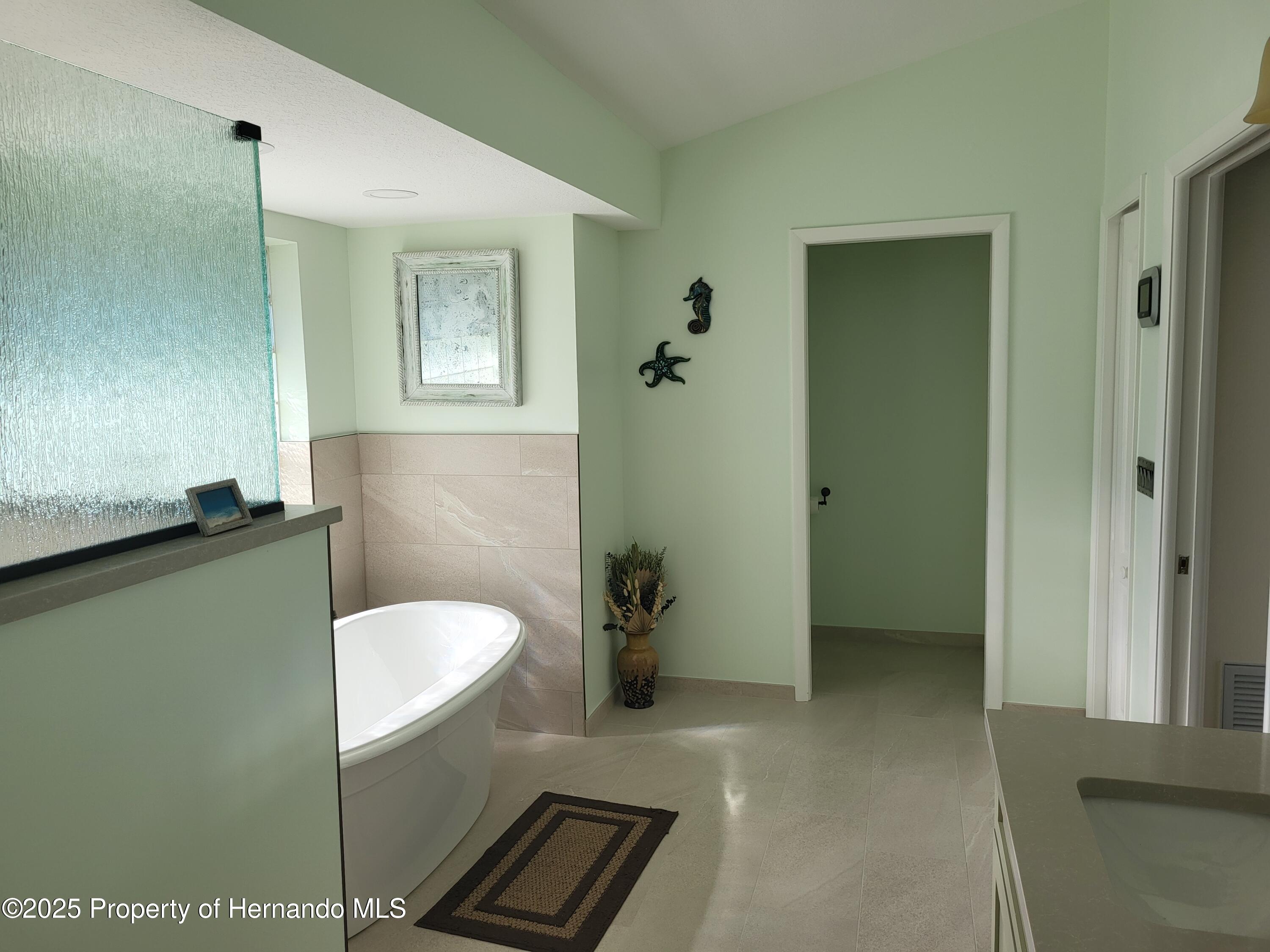 9615 Southern Belle Drive, Weeki Wachee, Florida image 17