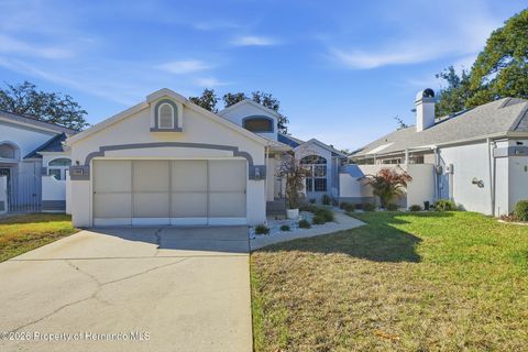 Townhouse For Sale - 11008 Casa Grande Circle<br/> Spring Hill, FL 34608
