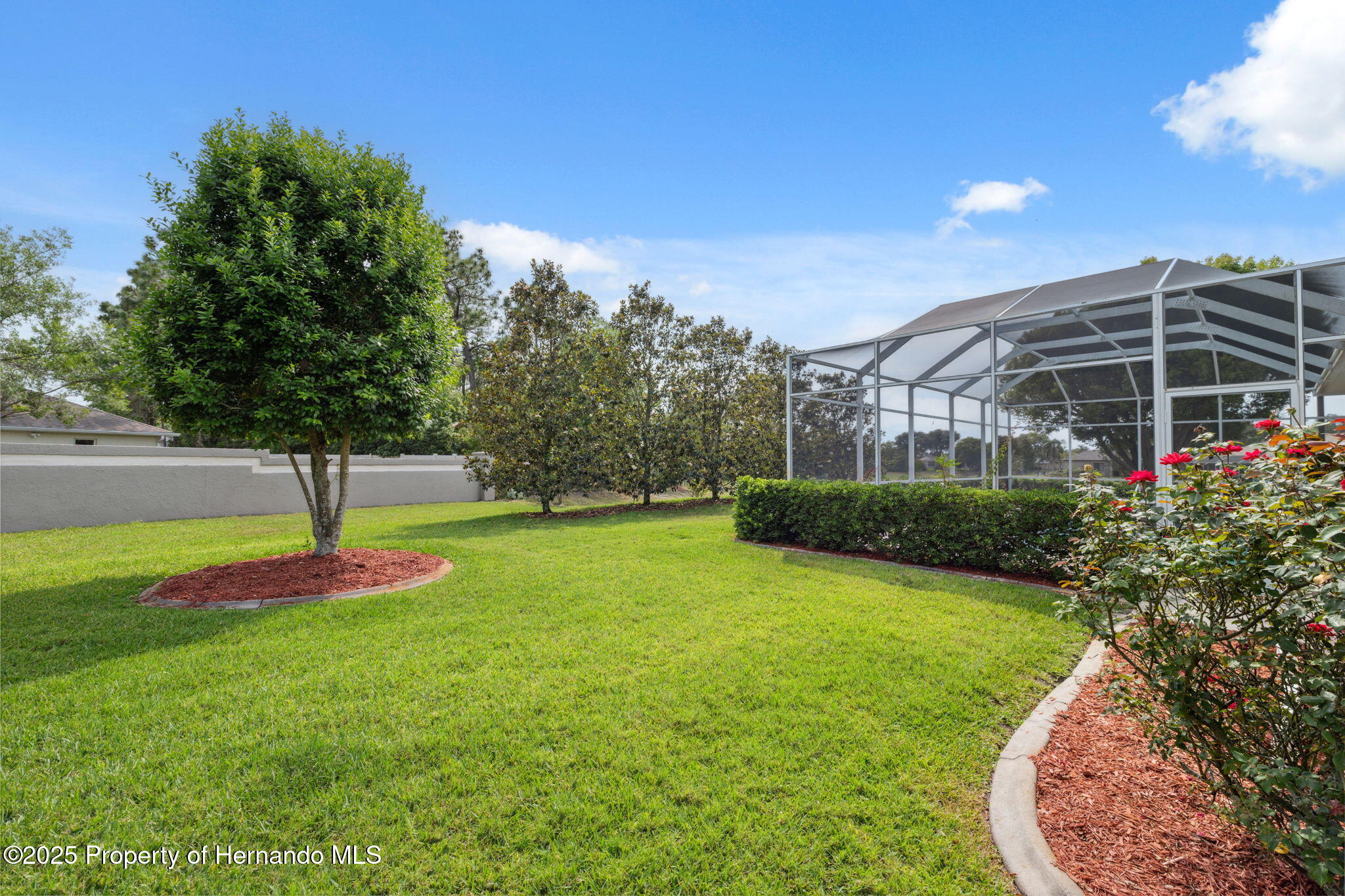 3400 Rosebay Court, Spring Hill, Florida image 39