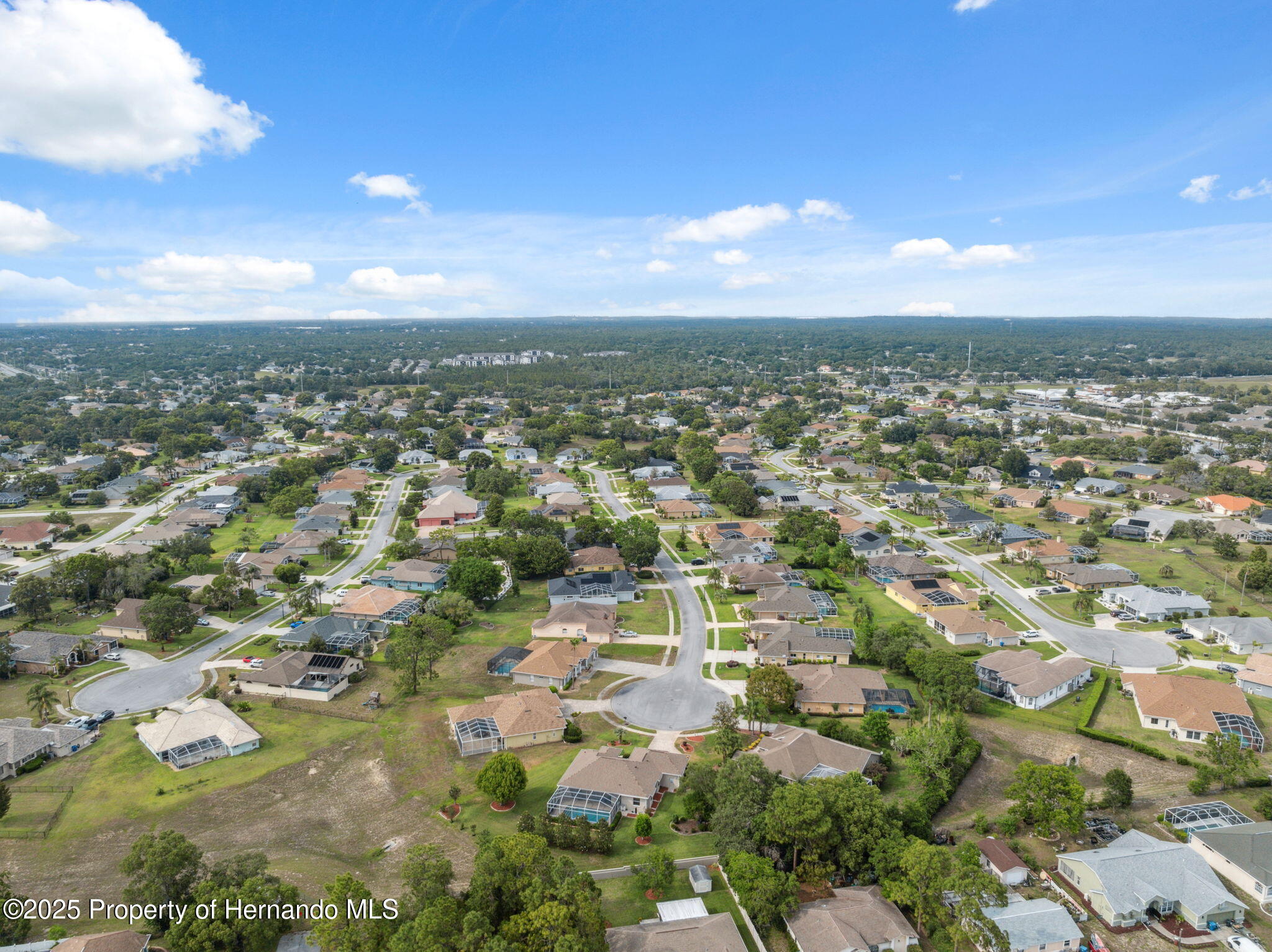 3400 Rosebay Court, Spring Hill, Florida image 43
