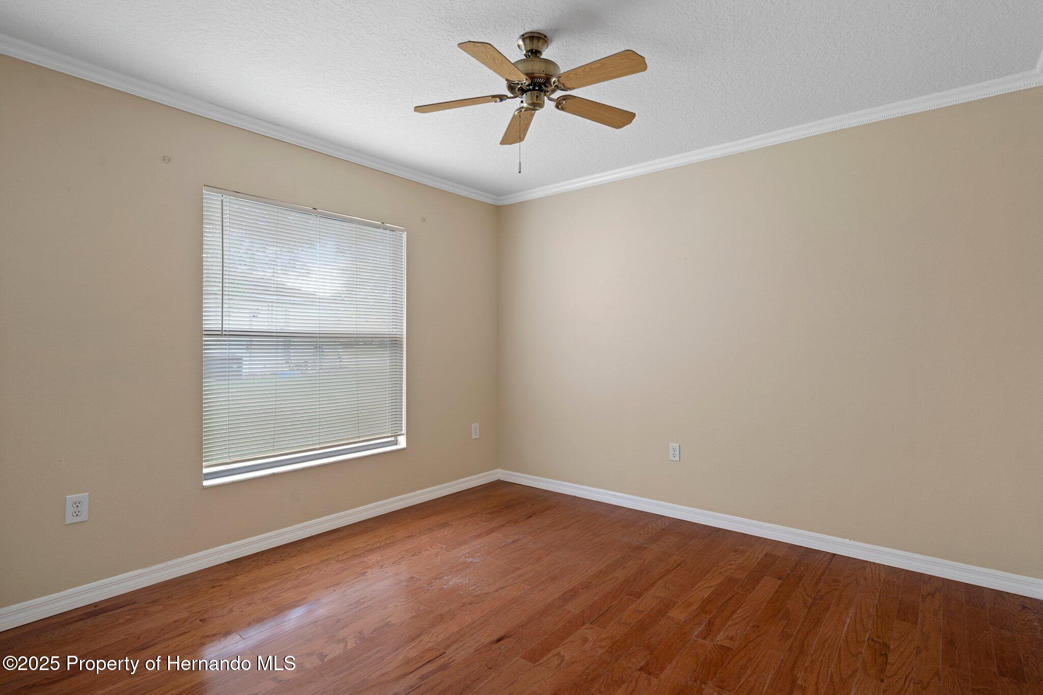 11353 Norvell Road, Spring Hill, Florida image 33