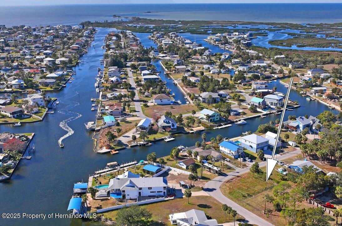 Pine Dale Court, HERNANDO BEACH, Florida image 1