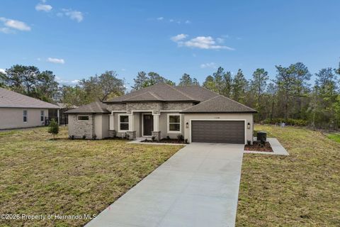 11248 Flock Avenue Weeki Wachee FL 34613