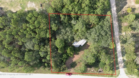 Vacant Land For Sale - 650 NE 138th Avenue<br/> Levy County, Williston, FL 32696