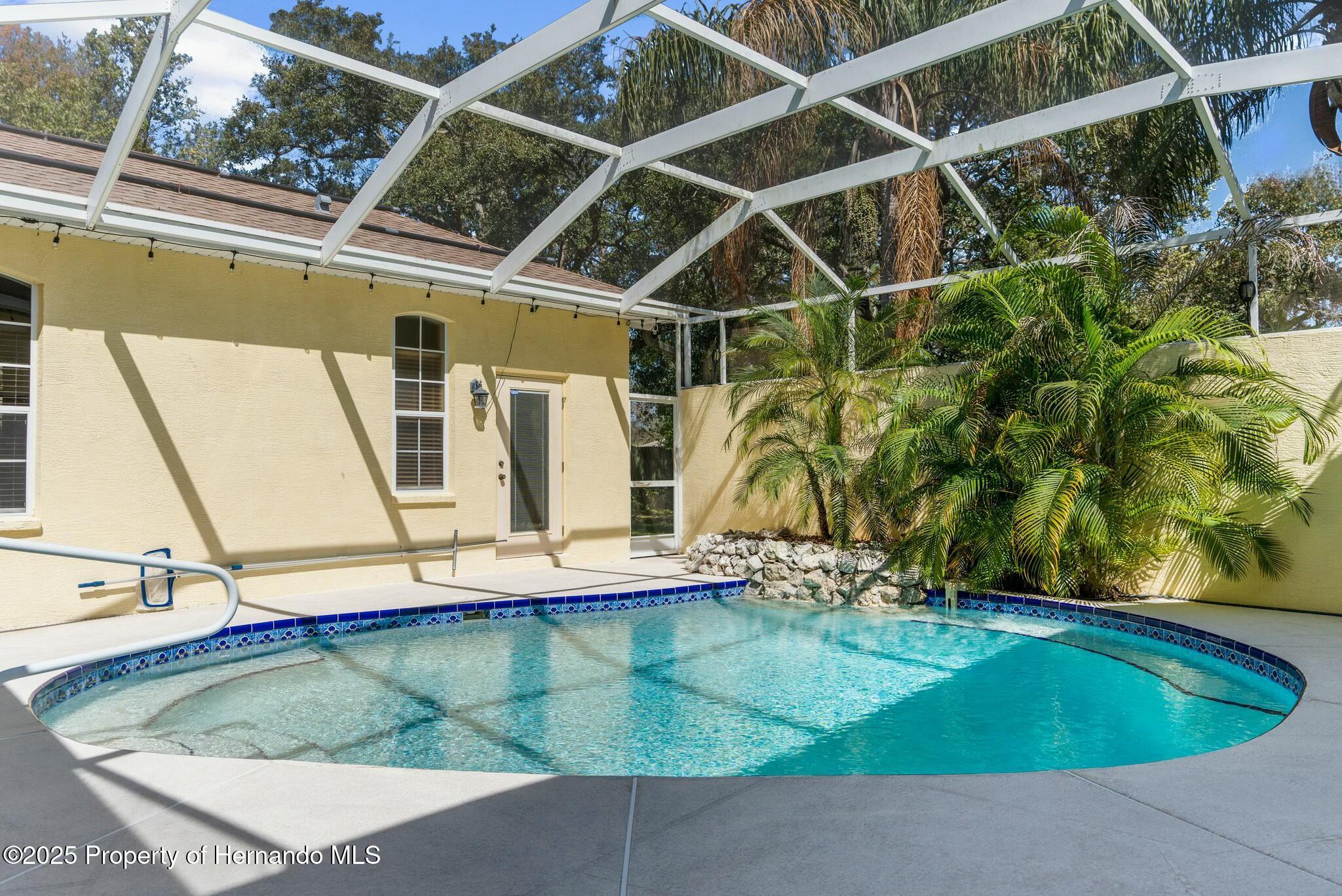 10079 Deer Street, Spring Hill, Florida image 11