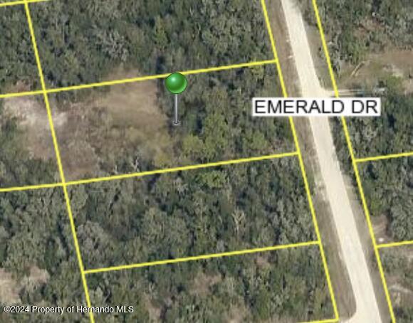 Emerald Drive, Ridge Manor, Florida image 1