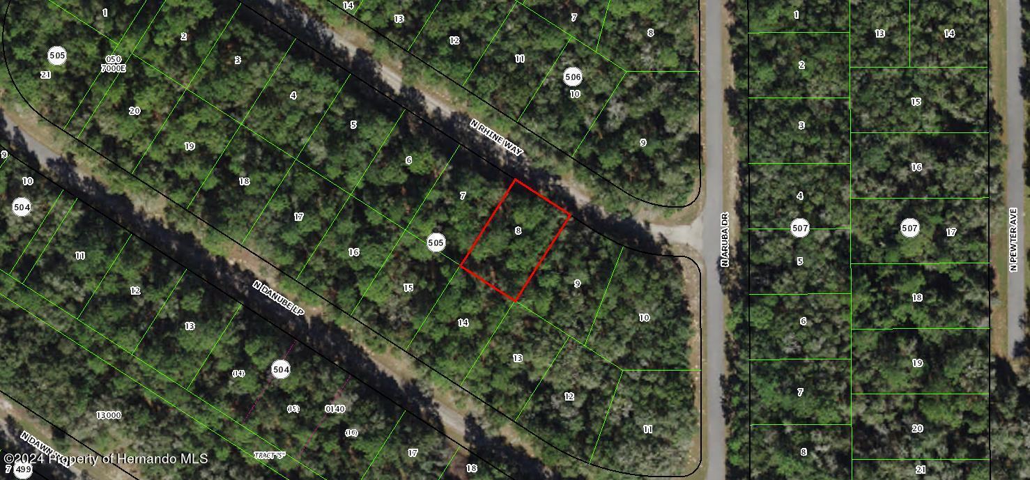 5 Lots Portfolio Drive, Citrus Springs, Florida image 4