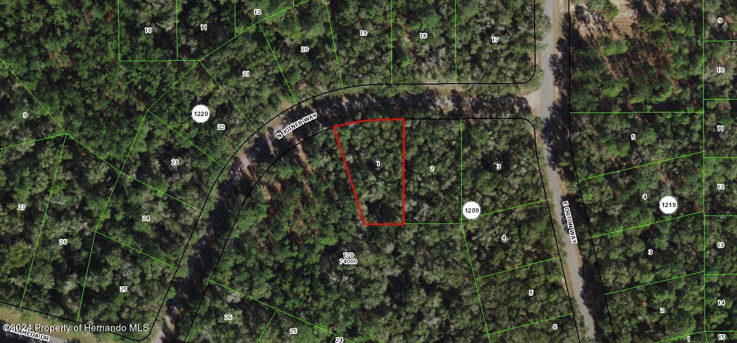 5 Lots Portfolio Drive, Citrus Springs, Florida image 1