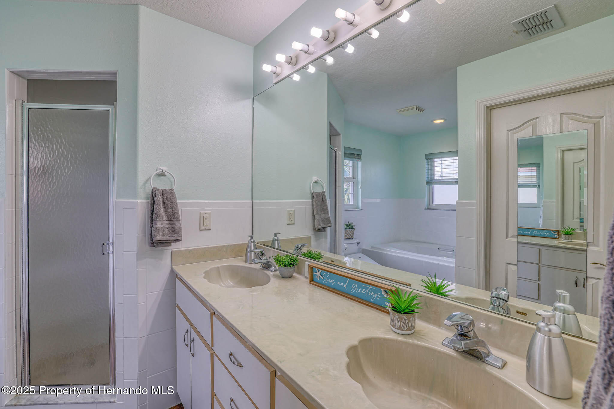3295 Hibiscus Drive, HERNANDO BEACH, Florida image 13