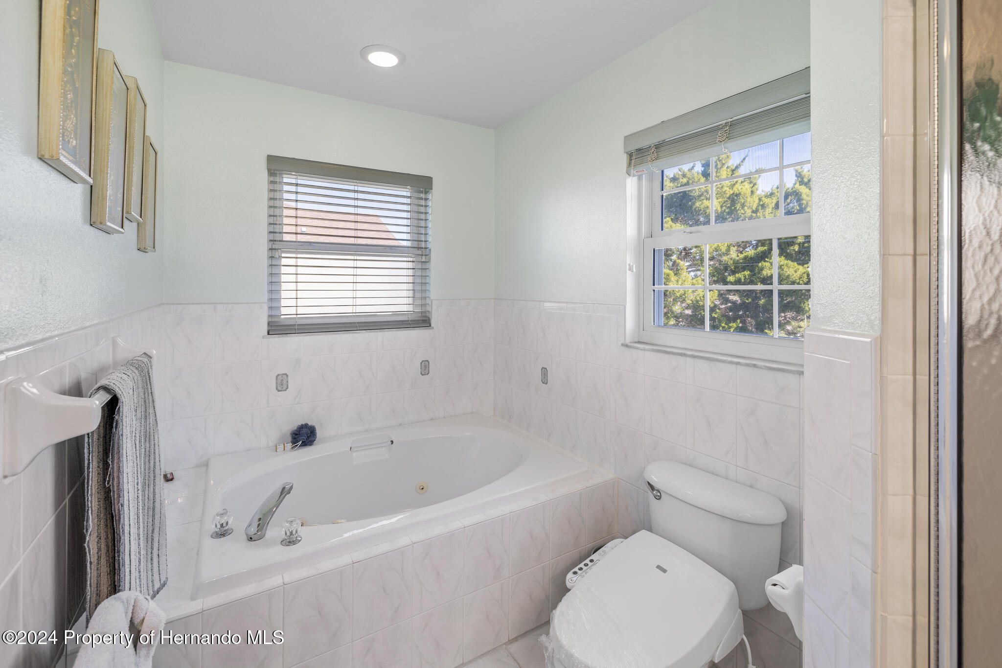 3295 Hibiscus Drive, HERNANDO BEACH, Florida image 19