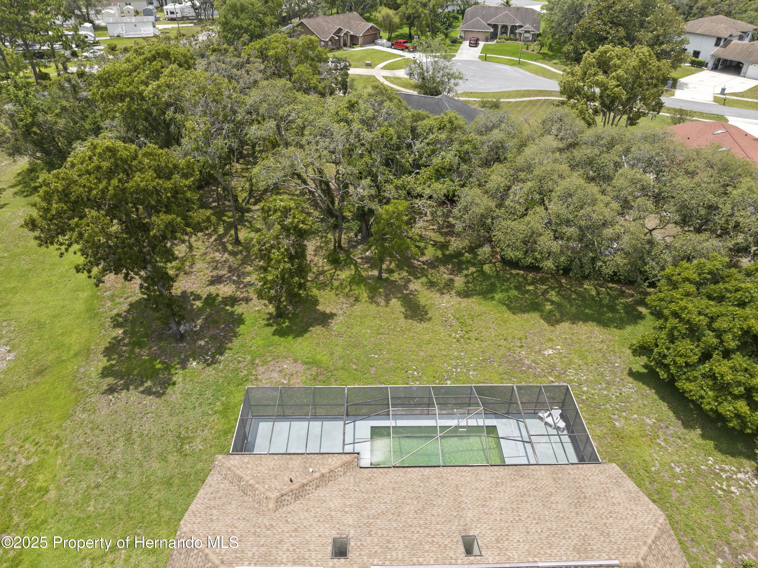 206 Forest Wood Court, Spring Hill, Florida image 11