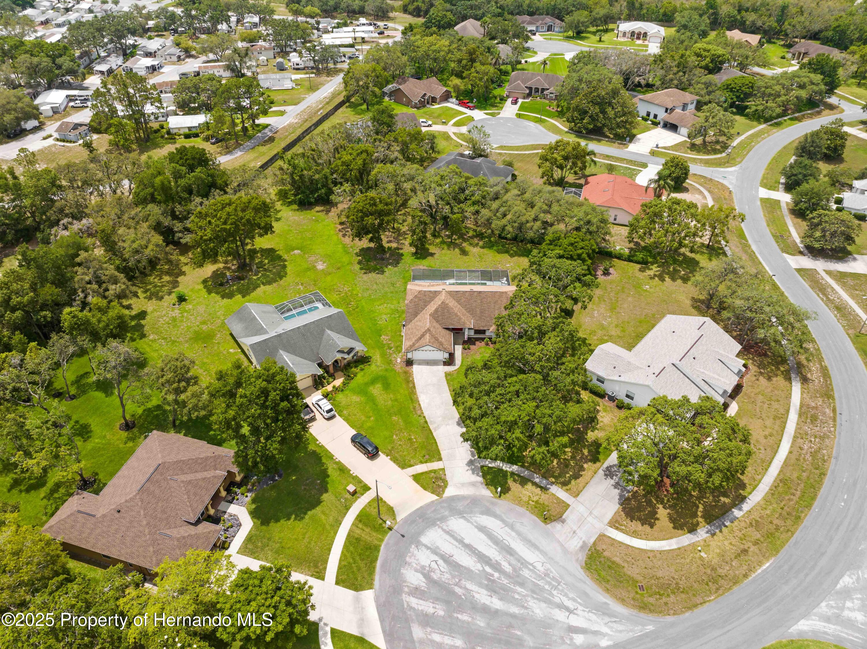 206 Forest Wood Court, Spring Hill, Florida image 8