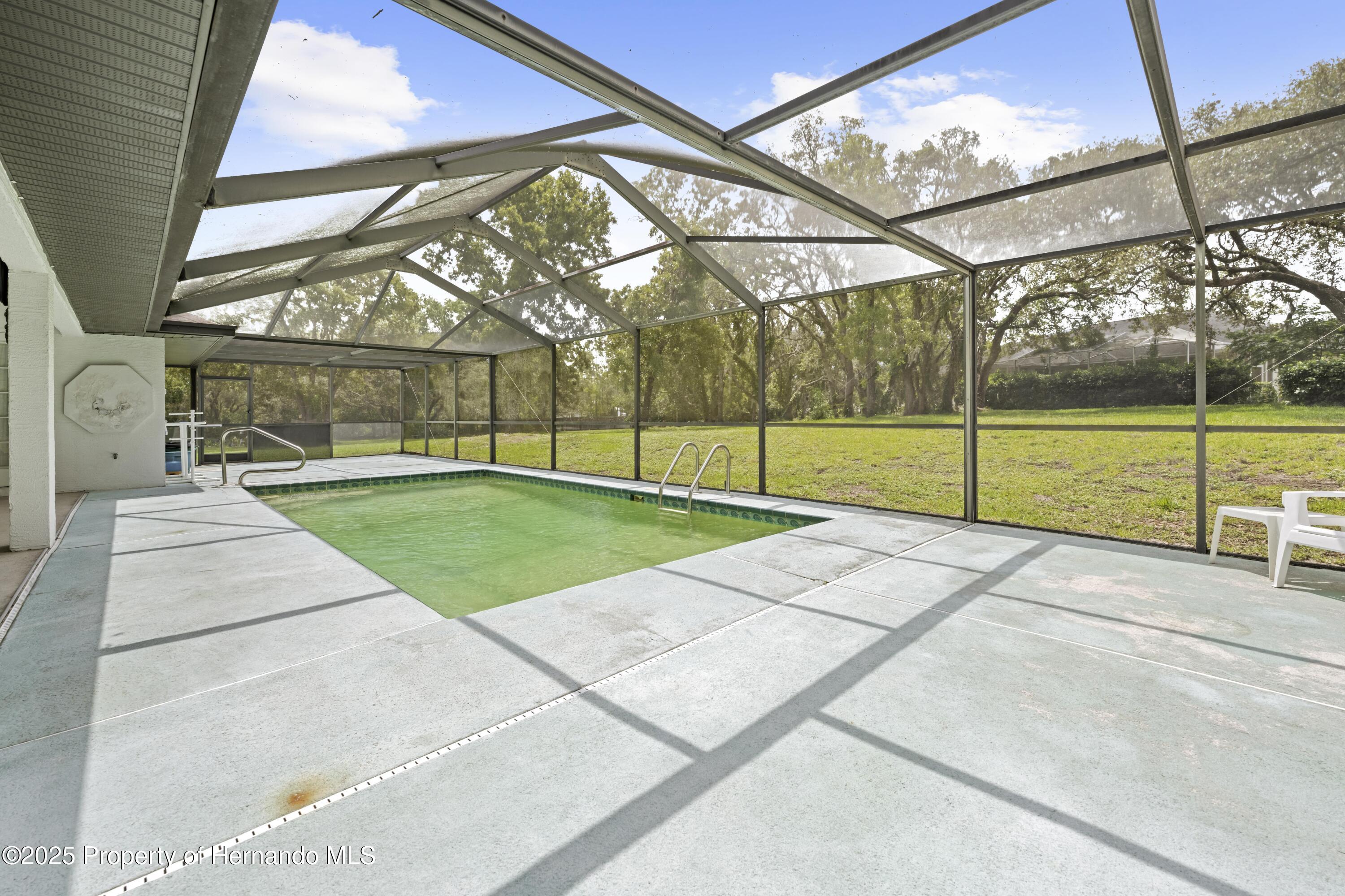 206 Forest Wood Court, Spring Hill, Florida image 30