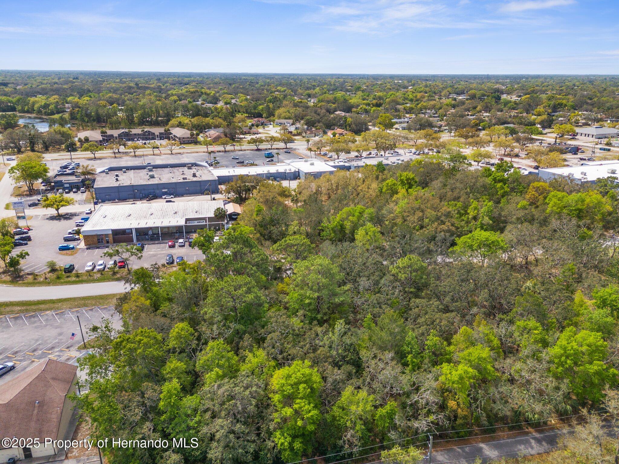 Kass Circle, Spring Hill, Florida image 8