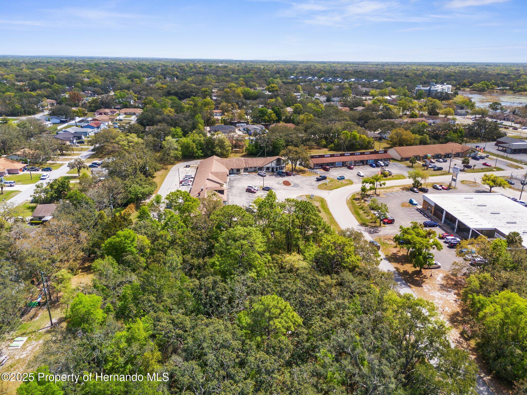 Kass Circle, Spring Hill, Florida image 3