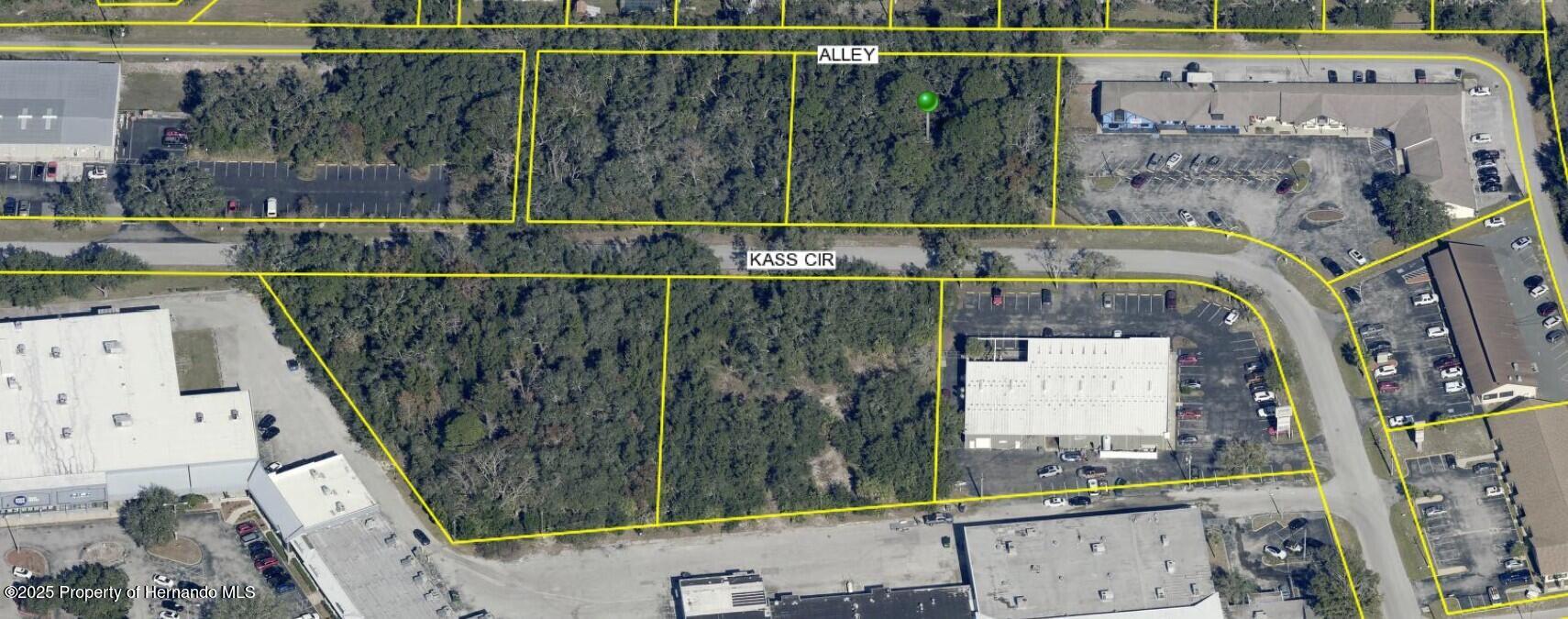 Kass Circle, Spring Hill, Florida image 6