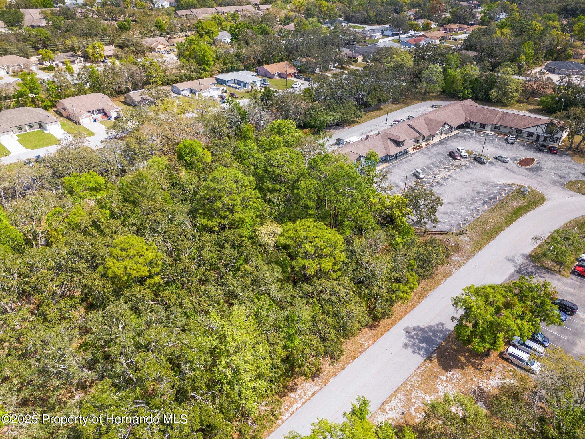 Kass Circle, Spring Hill, Florida image 5
