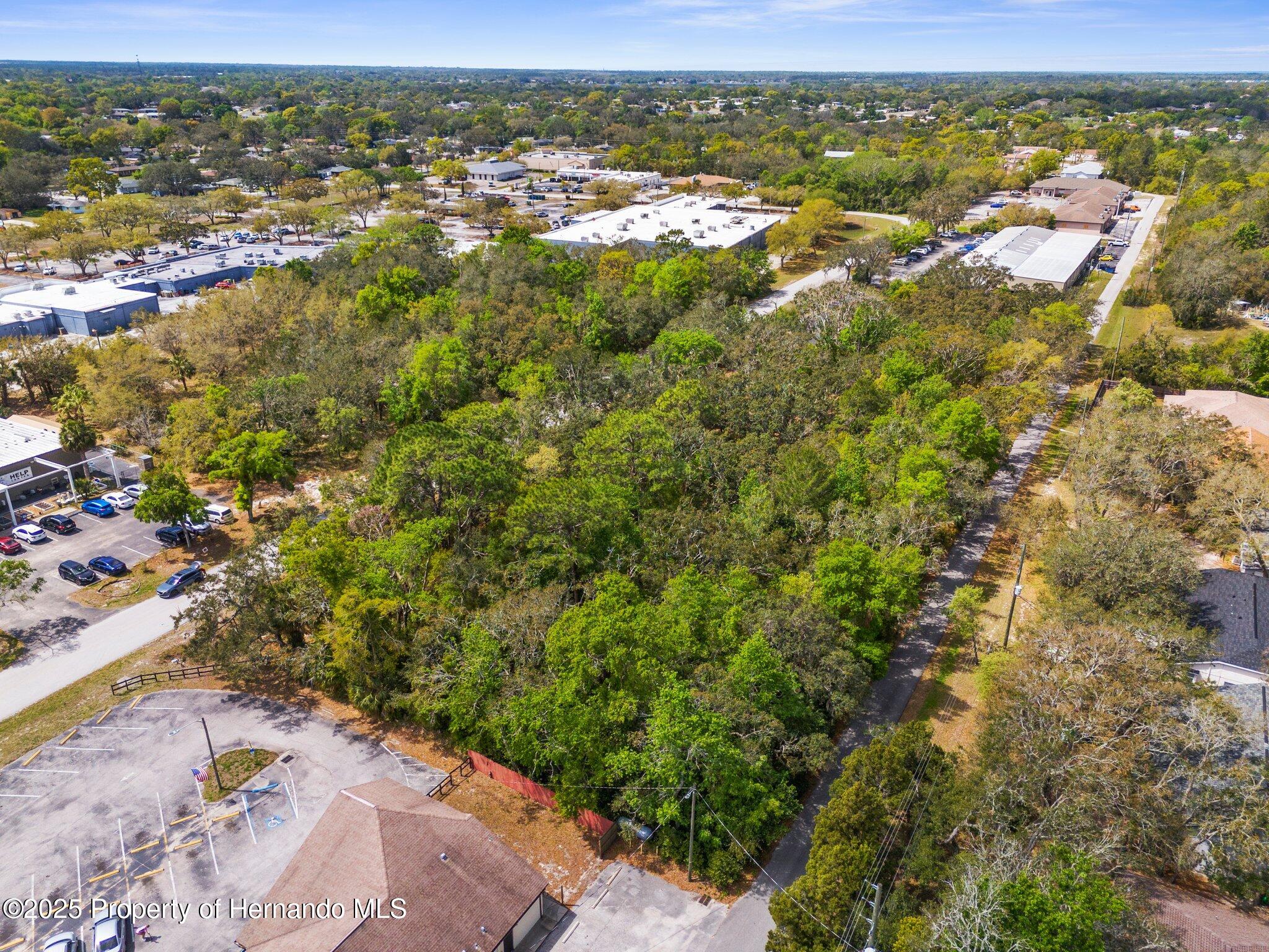 Kass Circle, Spring Hill, Florida image 9