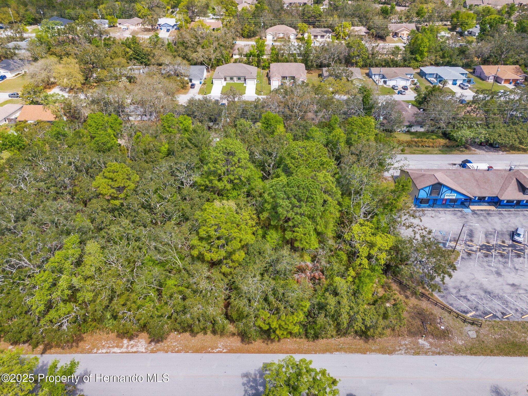 Kass Circle, Spring Hill, Florida image 1