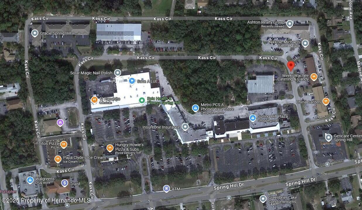 Kass Circle, Spring Hill, Florida image 2