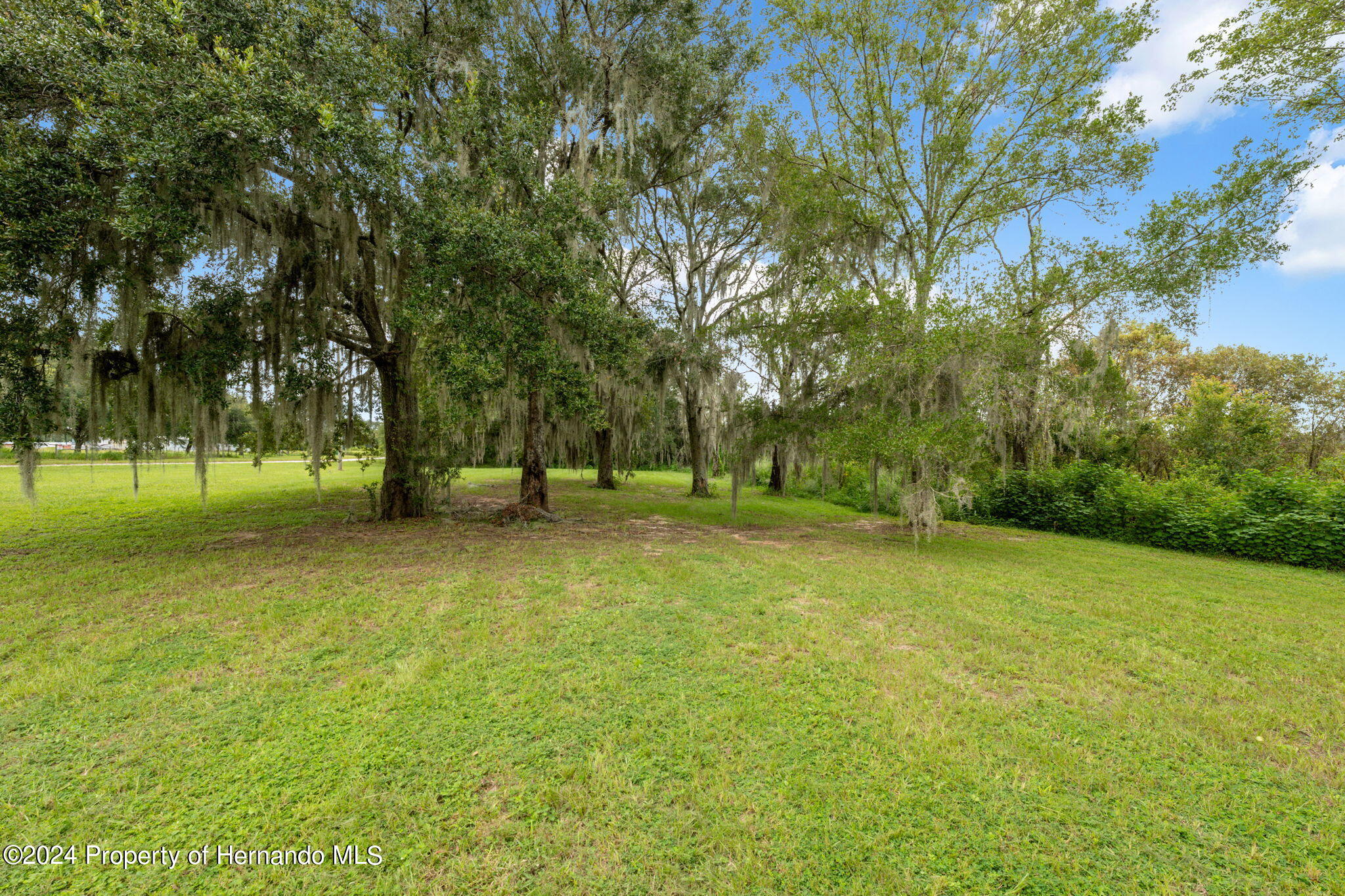 9028 Mckendree Road, Wesley Chapel, Florida image 8