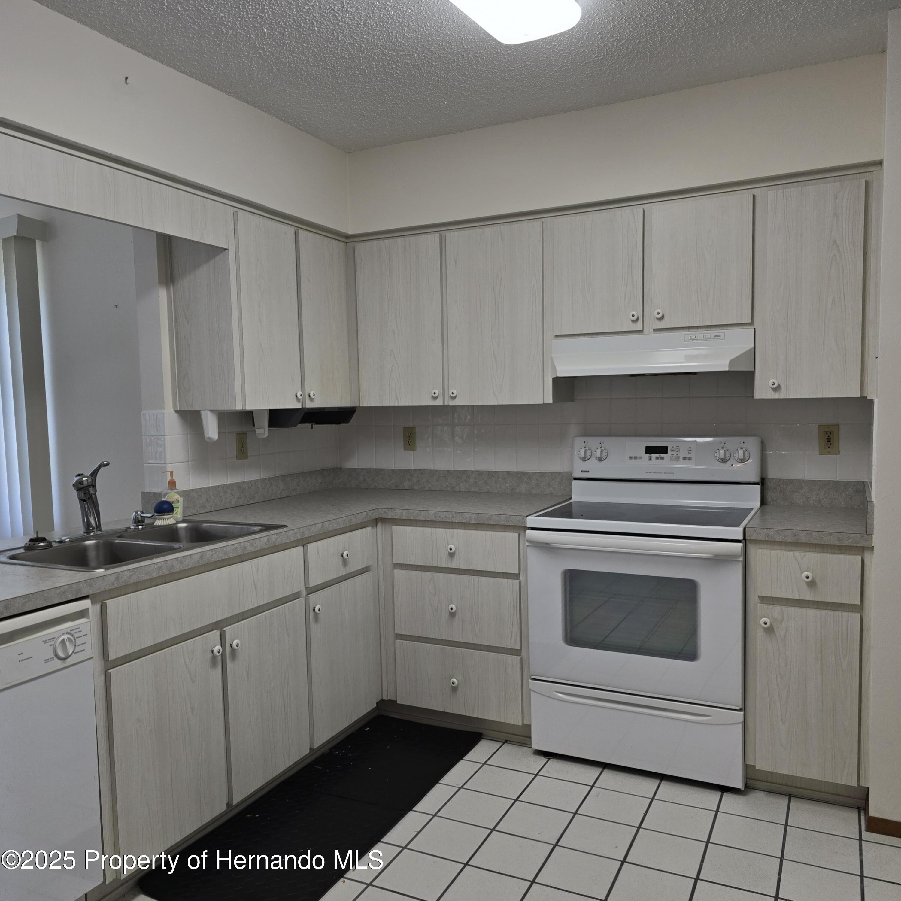 2226 Giralda Avenue, Spring Hill, Florida image 9