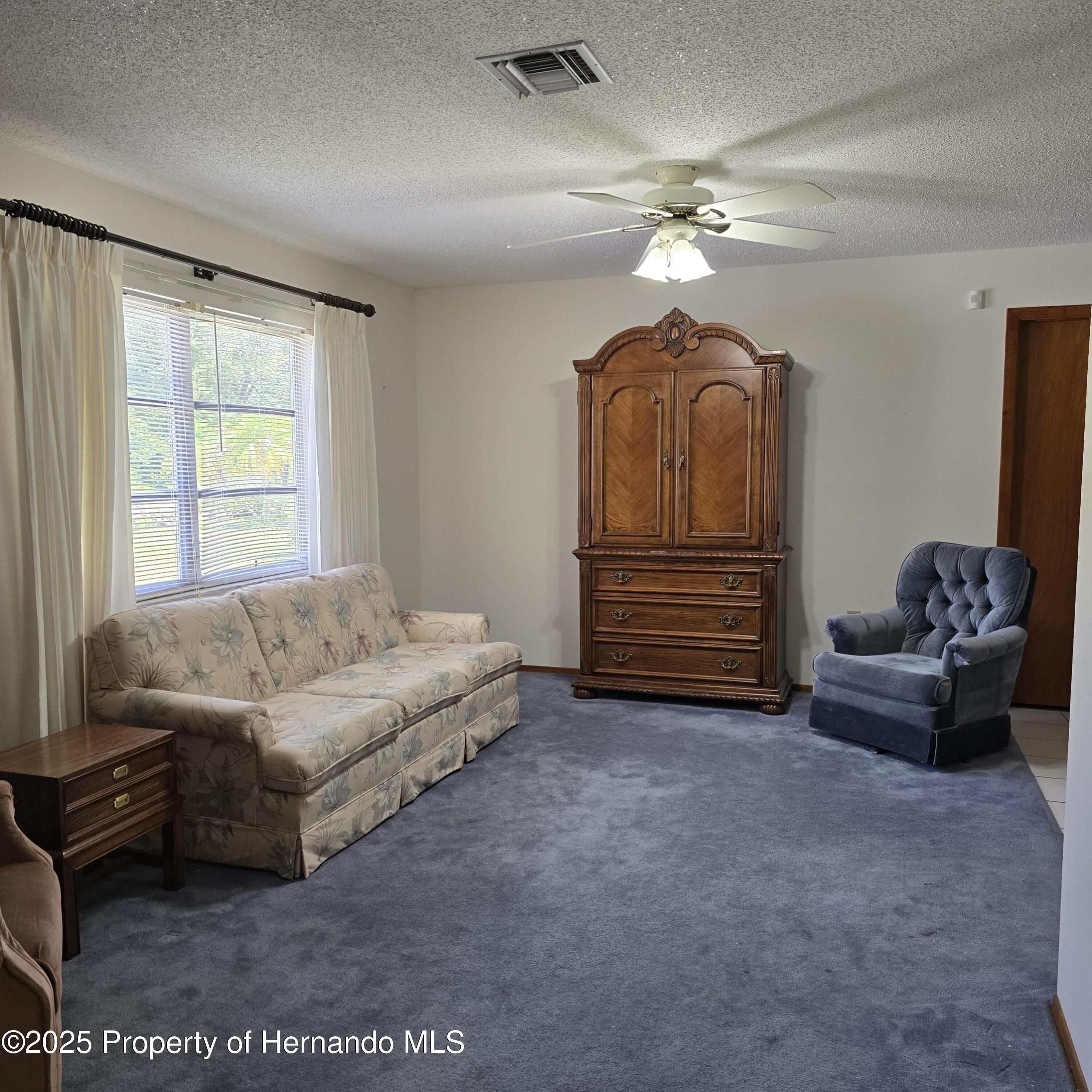 2226 Giralda Avenue, Spring Hill, Florida image 4