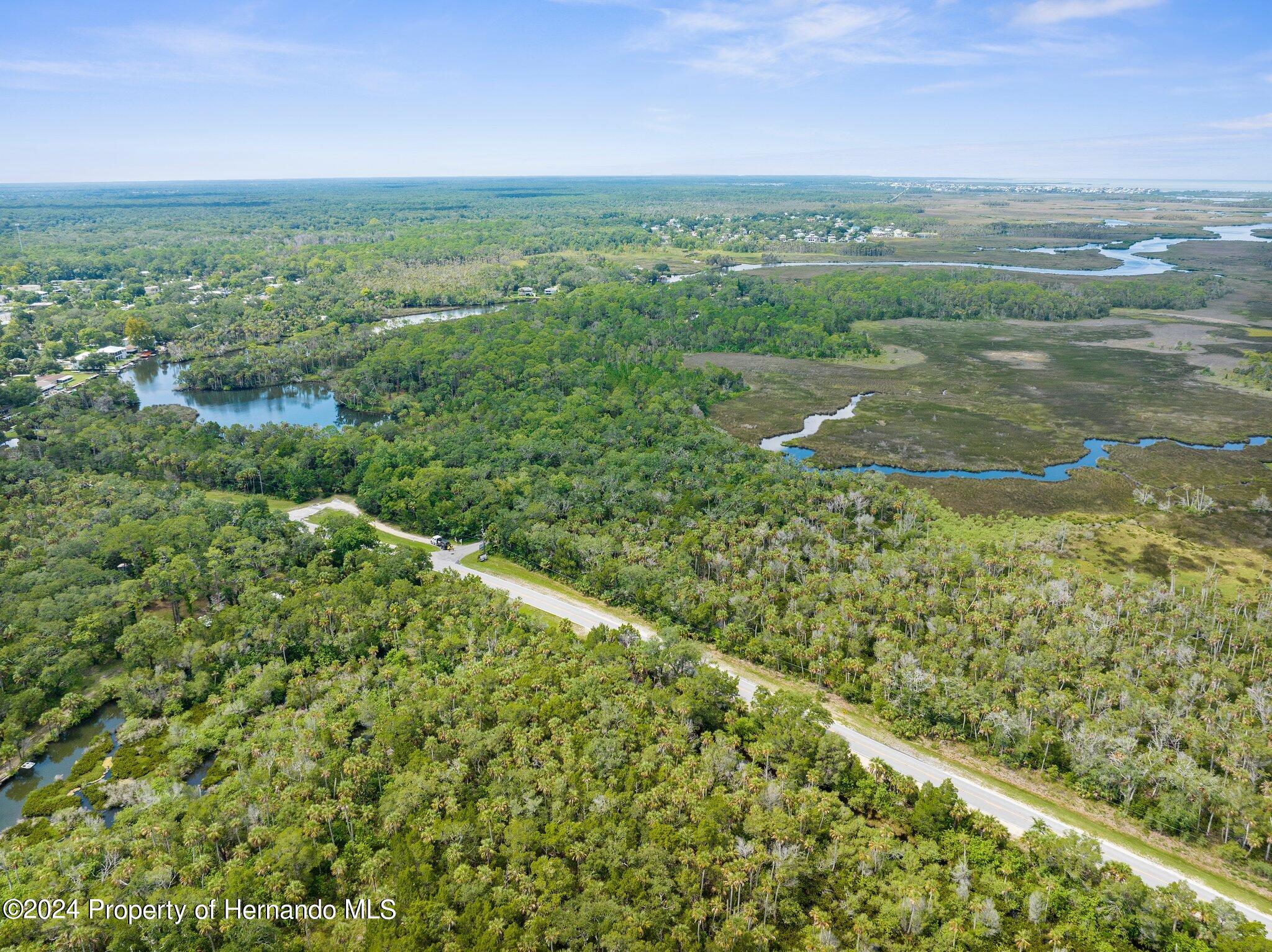 Marys Fish Camp Road, Spring Hill, Florida image 2