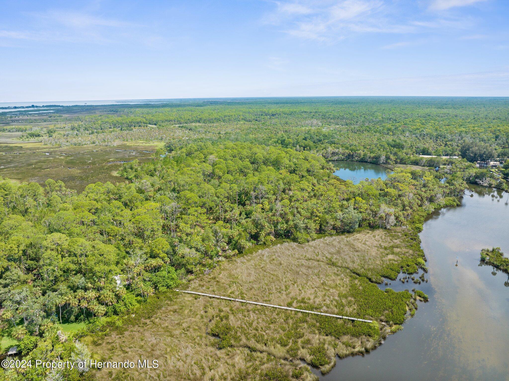 Marys Fish Camp Road, Spring Hill, Florida image 6