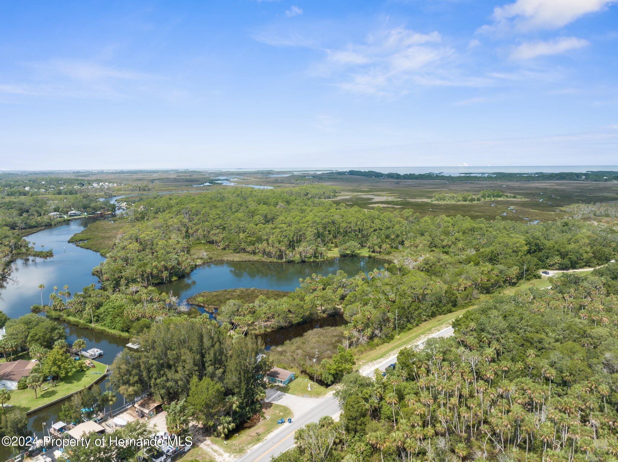 Marys Fish Camp Road, Spring Hill, Florida image 1