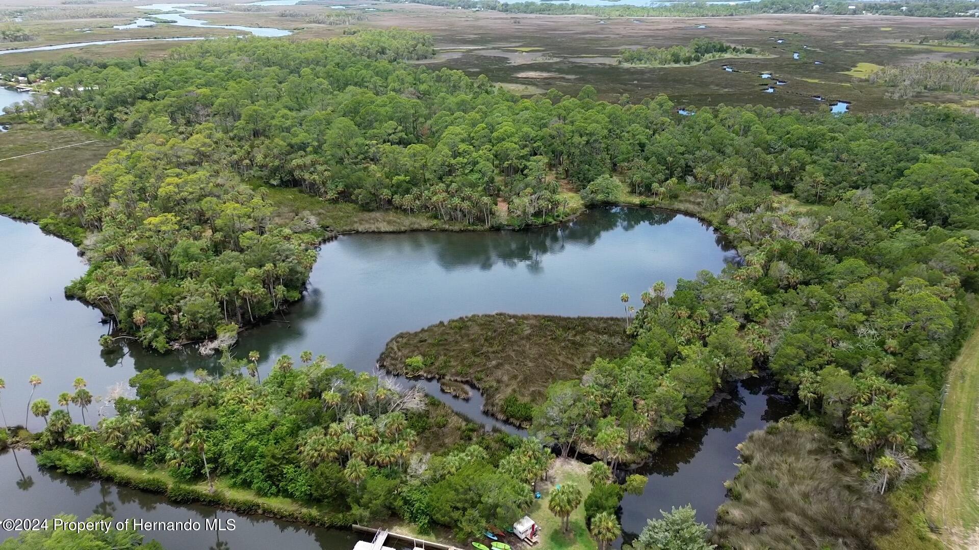 Marys Fish Camp Road, Spring Hill, Florida image 14