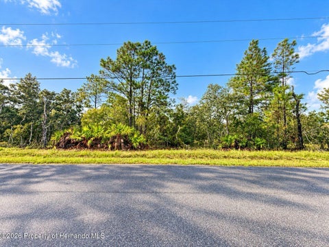 Vacant Land For Sale - 13052 Jaywalk Road<br/> Brooksville, FL 34614