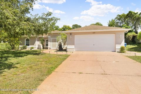 Homes For Sale - 6492 Blackbird Avenue<br/> Weeki Wachee, FL 34613